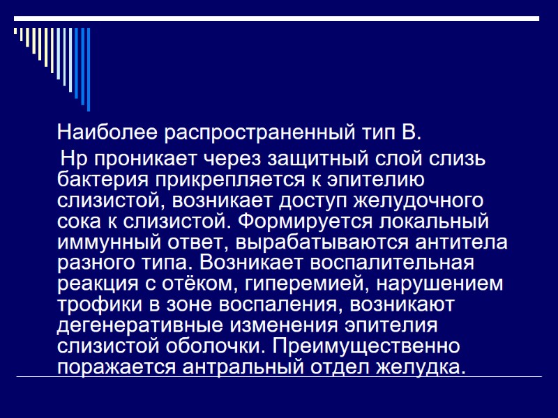 Наиболее распространенный тип В.      Нр проникает через защитный слой